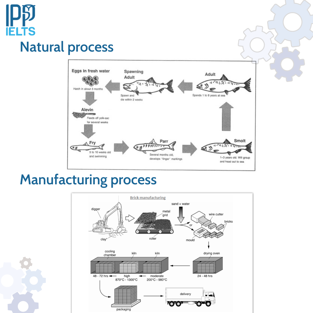 Dạng bài Process là gì?