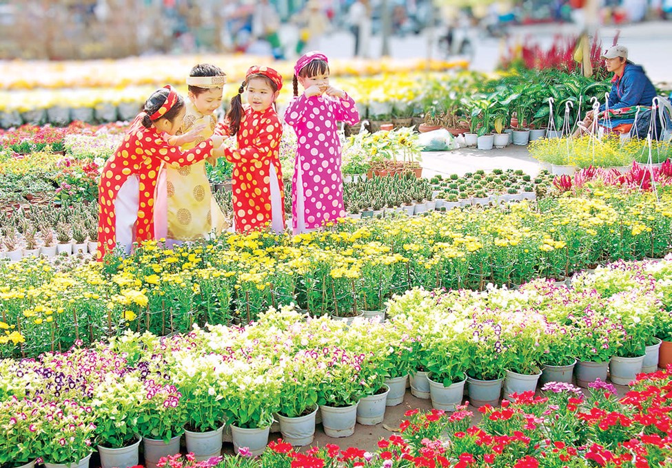 Các loại hoa, quả ngày Tết